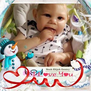 Meet your Posher, Nellie